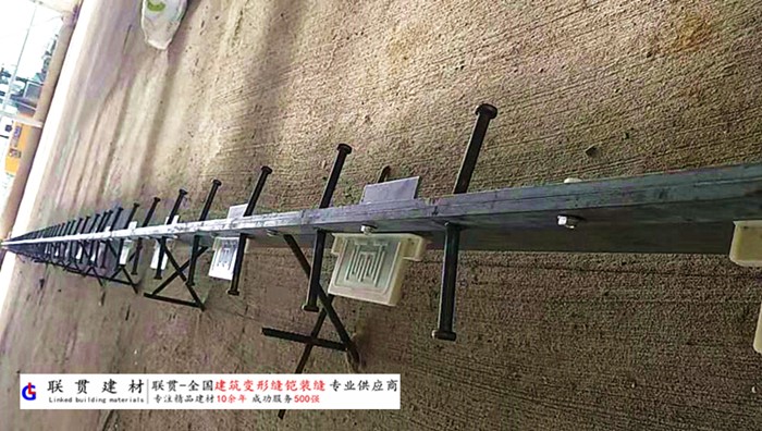 河池市铠甲缝施工案例