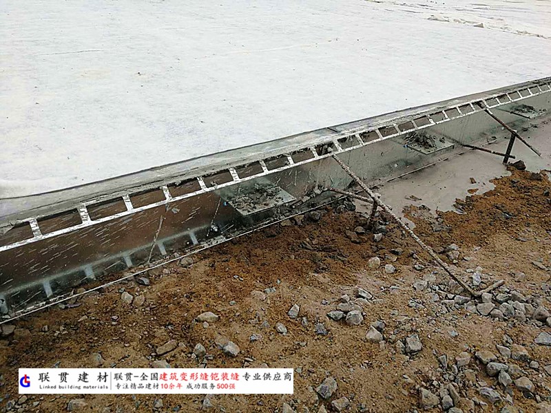 河池市铠装缝案例
